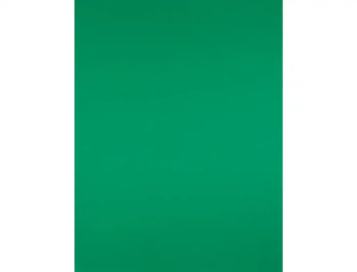 Liderpapel Cartulina Verde Navidad 50x65 cm 180g/m2 Paquete 25 Hojas para Dibujo y Manualidades