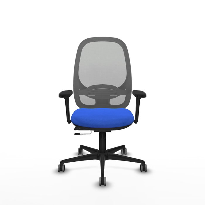 PIQUERAS Y CRESPO Silla de oficina Cilanco con mecanismo Sincro/Traslack, Azul y Gris PIQUERAS Y CRESPO Silla de oficina Cilanco con mecanismo Sincro/Traslack, Azul y Gris
