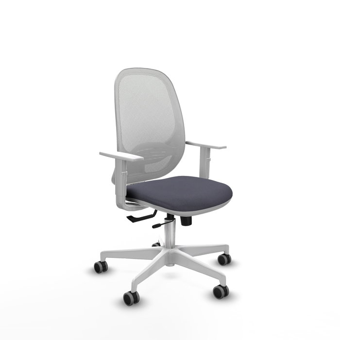 PIQUERAS Y CRESPO Silla de oficina Cilanco con mecanismo Sincro/Traslack, Gris oscuro y Blanco PIQUERAS Y CRESPO Silla de oficina Cilanco con mecanismo Sincro/Traslack, Gris oscuro y Blanco