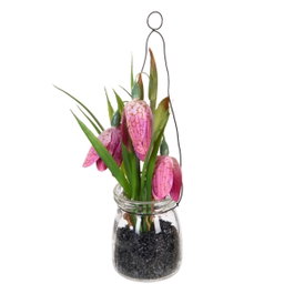 Ixia Planta Rosa Artificial Decoración 7 x 7 x 20 cm