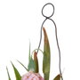 Ixia Planta Rosa Artificial Decoración 7 x 7 x 20 cm