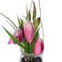 Ixia Planta Rosa Artificial Decoración 7 x 7 x 20 cm