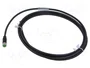 MURRELEKTRONIK Cable para sensores M8 hembra recto 2m