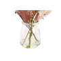 DKD Home Decor Planta de Cristal y PE 6x6x27 Surtido de 2 Unidades