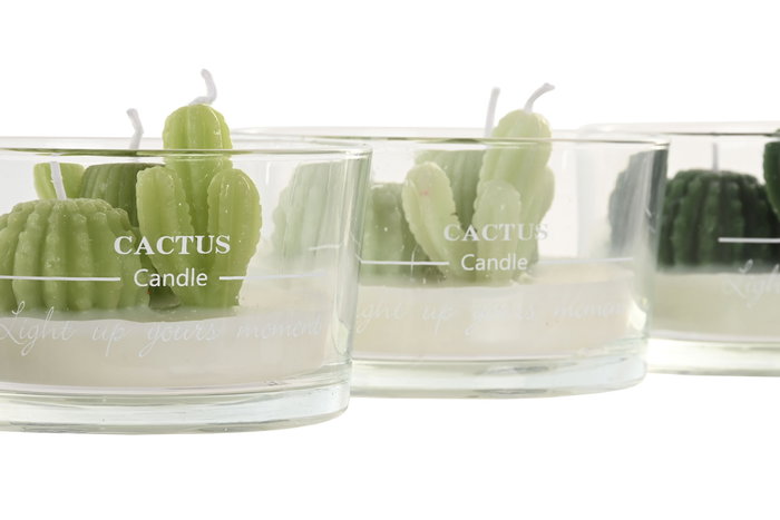 DKD Home Decor Vela de Cera de Parafina Cactus Surtida