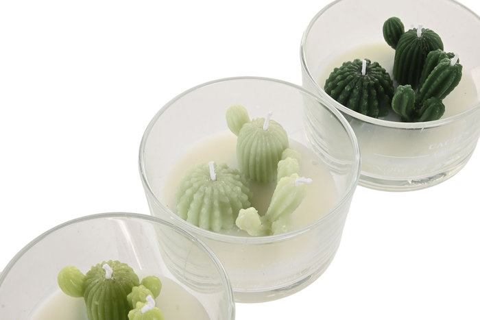 DKD Home Decor Vela de Cera de Parafina Cactus Surtida