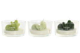 DKD Home Decor Vela de Cera de Parafina Cactus Surtida