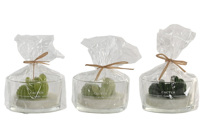 DKD Home Decor Vela de Cera de Parafina Cactus Surtida