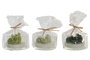 DKD Home Decor Vela de Cera de Parafina Cactus Surtida
