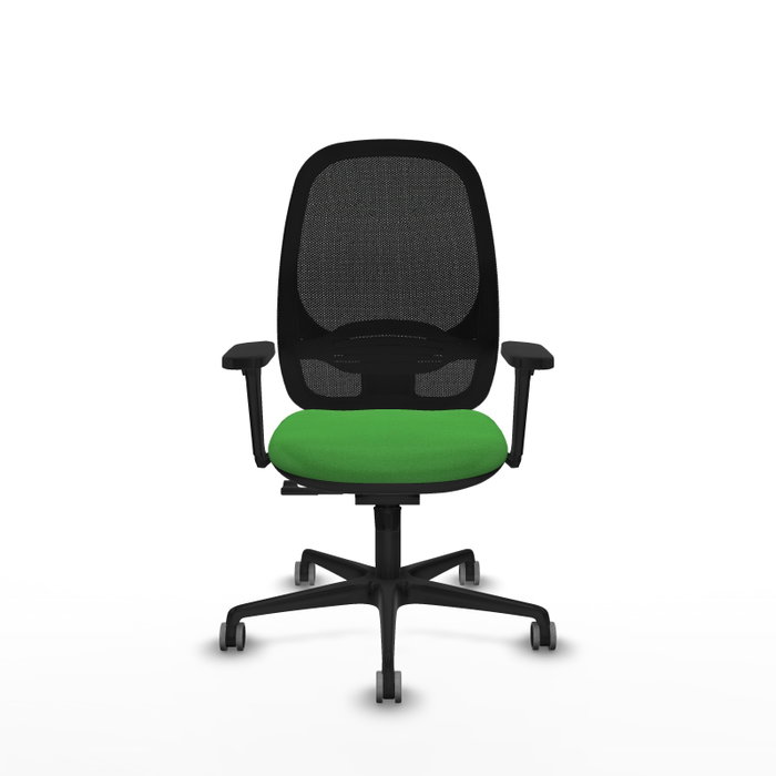 PIQUERAS Y CRESPO Silla de oficina Cilanco con mecanismo Sincro, Verde y Negro PIQUERAS Y CRESPO Silla de oficina Cilanco con mecanismo Sincro, Verde y Negro