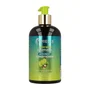 Mielle Acondicionador de Aguacate y Tamanu Anti Frizz 355ml