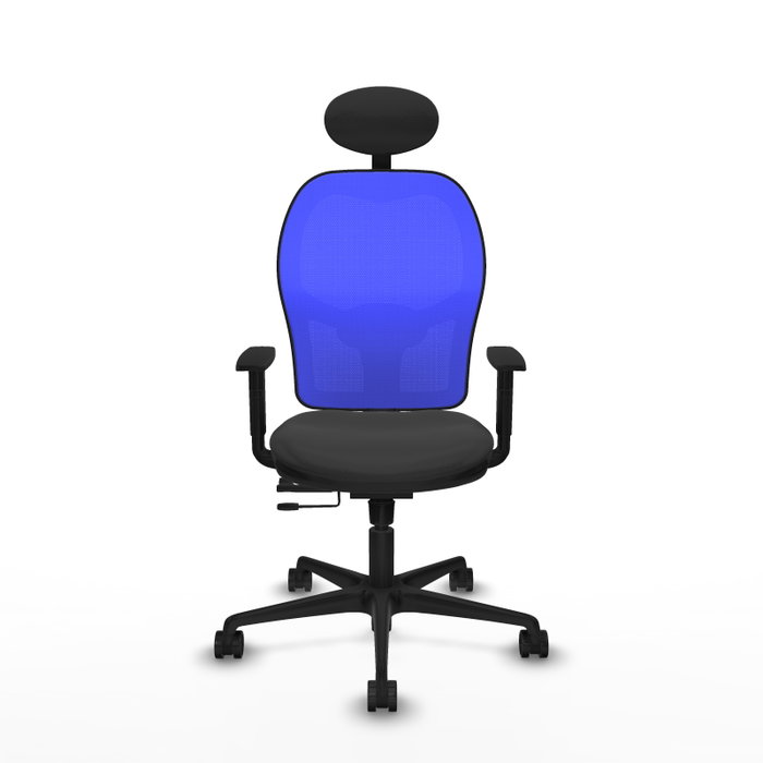 PIQUERAS Y CRESPO Silla de oficina Jorquera Gris oscuro y Azul PIQUERAS Y CRESPO Silla de oficina Jorquera Gris oscuro y Azul