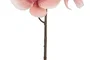 DKD Home Decor Flor Orquídea 20 x 95 x 20 cm Rosa Palo Fucsia (18 Unidades)