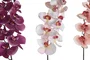 DKD Home Decor Flor Orquídea 20 x 95 x 20 cm Rosa Palo Fucsia (18 Unidades)