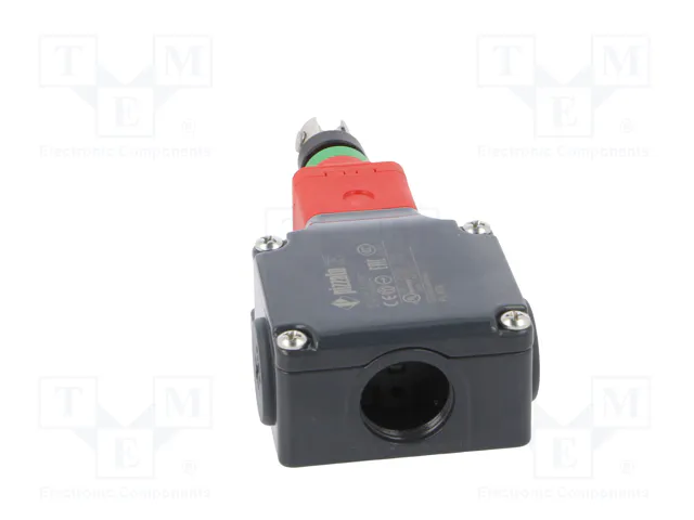 PIZZATO ELETTRICA Interruptor de seguridad de cuerda FP, unilateral, gris PIZZATO ELETTRICA Interruptor de seguridad de cuerda FP, unilateral, gris