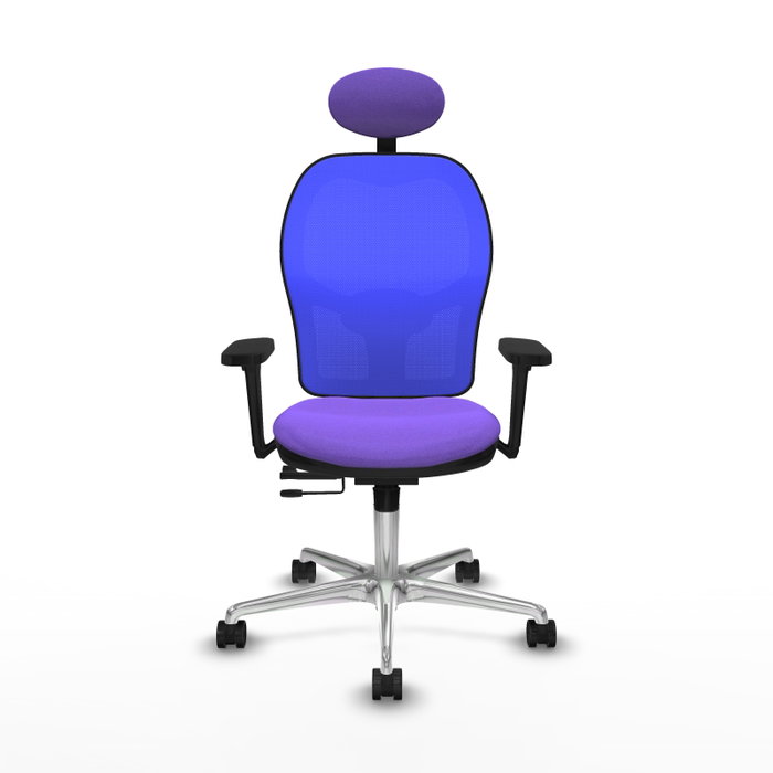 PIQUERAS Y CRESPO Silla de oficina Jorquera con mecanismo Sincro/Traslack, Tela Lila y Malla Azul PIQUERAS Y CRESPO Silla de oficina Jorquera con mecanismo Sincro/Traslack, Tela Lila y Malla Azul