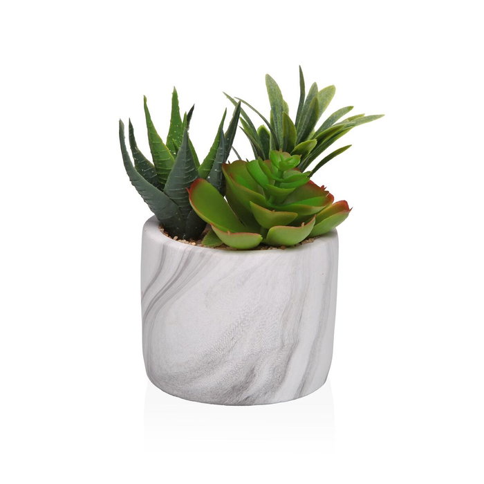Planta Decorativa Versa Cerámica Plástico Fusion Suculenta 9 x 15 x 9 cm Planta Decorativa Versa Cerámica Plástico Fusion Suculenta 9 x 15 x 9 cm