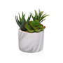 Planta Decorativa Versa Cerámica Plástico Fusion Suculenta 9 x 15 x 9 cm