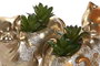 DKD Home Decor Planta Dorado Verde Gato Resina 18.5 x 8.5 x 19.5 cm (4 Unidades)