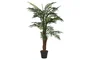 DKD Home Decor Palmera Verde de PE y Fibra 80x80x162 cm