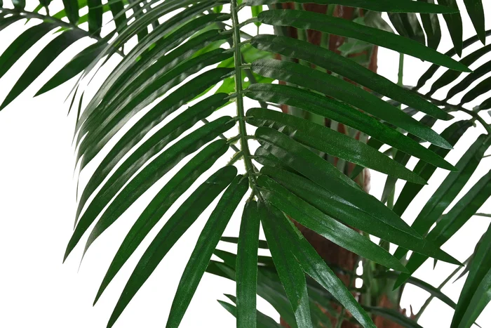 DKD Home Decor Palmera Verde de PE y Fibra 80x80x162 cm