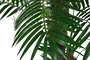 DKD Home Decor Palmera Verde de PE y Fibra 80x80x162 cm