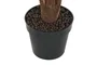 DKD Home Decor Palmera Verde de PE y Fibra 80x80x162 cm