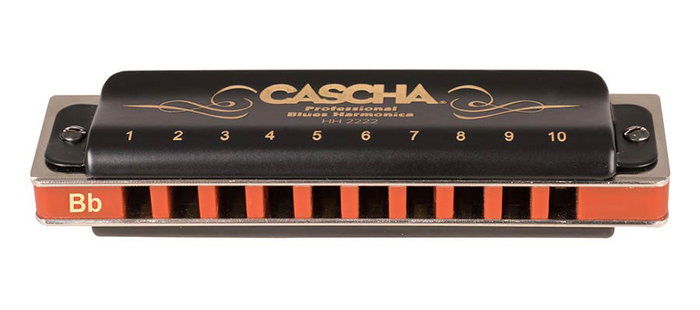 Armónica Cascha Profesional Blues En Sib
