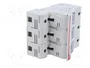 DF ELECTRIC Portafusibles PMX de 3 Polos para Raíl DIN