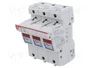 DF ELECTRIC Portafusibles PMX de 3 Polos para Raíl DIN