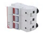 DF ELECTRIC Portafusibles PMX de 3 Polos para Raíl DIN