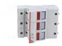 DF ELECTRIC Portafusibles PMX de 3 Polos para Raíl DIN