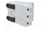 DF ELECTRIC Portafusibles PMX de 3 Polos para Raíl DIN