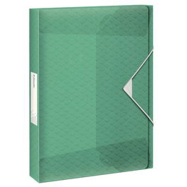 Carpeta De Proyectos Esselte Colour Breeze Pp A4 Gomas 4 Cm Verde (Set de 5)
