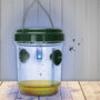 Je cherche une Idee Trampa para Insectos Solar Antimoustique - Luz Azul para Moscas y Mosquitos