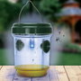 Je cherche une Idee Trampa para Insectos Solar Antimoustique - Luz Azul para Moscas y Mosquitos