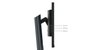 Lenovo ThinkVision P24q-30 23.8 pulg. QHD IPS Raven Black