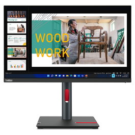 Lenovo P24q-30 Monitor 23.8" QHD IPS 2560x1440 60Hz 4ms HDMI DP USB Negro