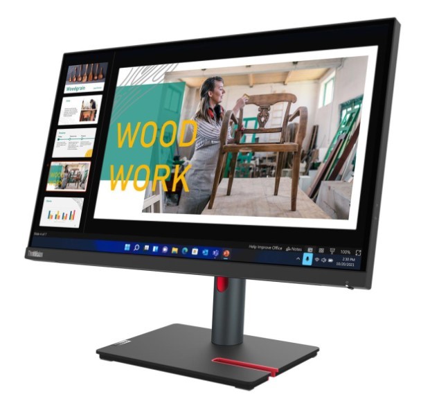 Lenovo ThinkVision P24q-30 23.8 pulg. QHD IPS Raven Black