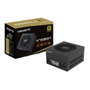 Gigabyte P750GM 750W 80 PLUS Gold ATX Negro