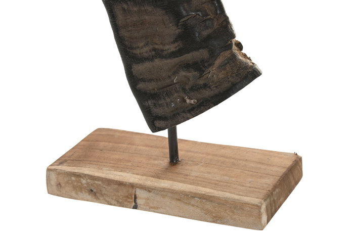 DKD Home Decor Set de Decoración de 3 Piezas de Cuerno de Búfalo con Soporte