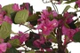DKD Home Decor Planta Fucsia Natural Verde 80 x 150 x 80 cm Buganvilla