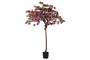 DKD Home Decor Planta Fucsia Natural Verde 80 x 150 x 80 cm Buganvilla