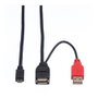 ROLINE Cable USB 2.0 Y 2x USB A a Micro-USB B 1m Negro