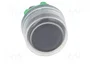 SCHNEIDER ELECTRIC Interruptor de presión Harmony XB5 22mm Negro