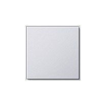 GIRA 026866 Blindabdeckung reinweiß TX44 (WG UP) Blanco