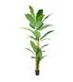 DKD Home Decor Planta Bananero Verde y Marrón 90x90x290 cm