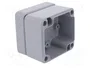 FIBOX ALN Carcasa Universal de Aluminio Gris