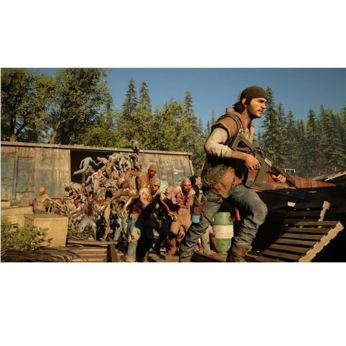 Sony Computer Entertainment Days Gone PS4