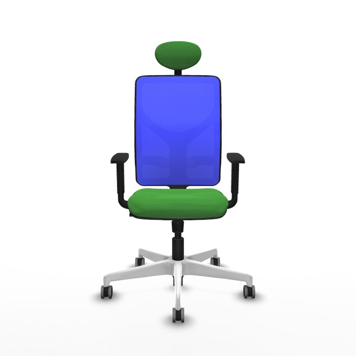 PIQUERAS Y CRESPO Silla de oficina Motilla con mecanismo Sincro, Verde y Azul PIQUERAS Y CRESPO Silla de oficina Motilla con mecanismo Sincro, Verde y Azul